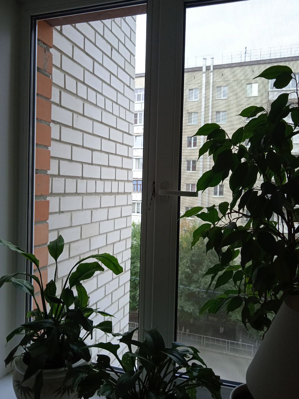 https://doneck.delaem-okna.ru/storage/app/uploads/public/63f/332/8c0/63f3328c0408d690824237.jpg