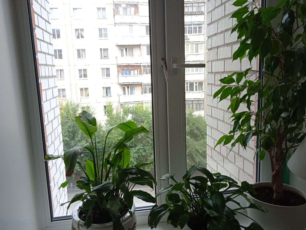 https://doneck.delaem-okna.ru/storage/app/uploads/public/63f/332/8c0/63f3328c0d6f7867060515.jpg